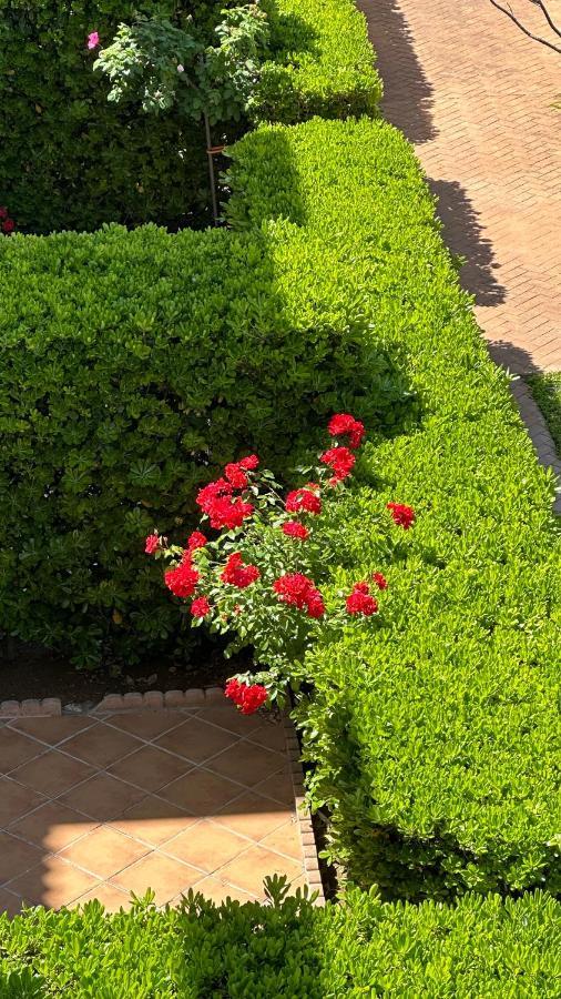 La Rosaleda 17 Apartment Denia Ngoại thất bức ảnh