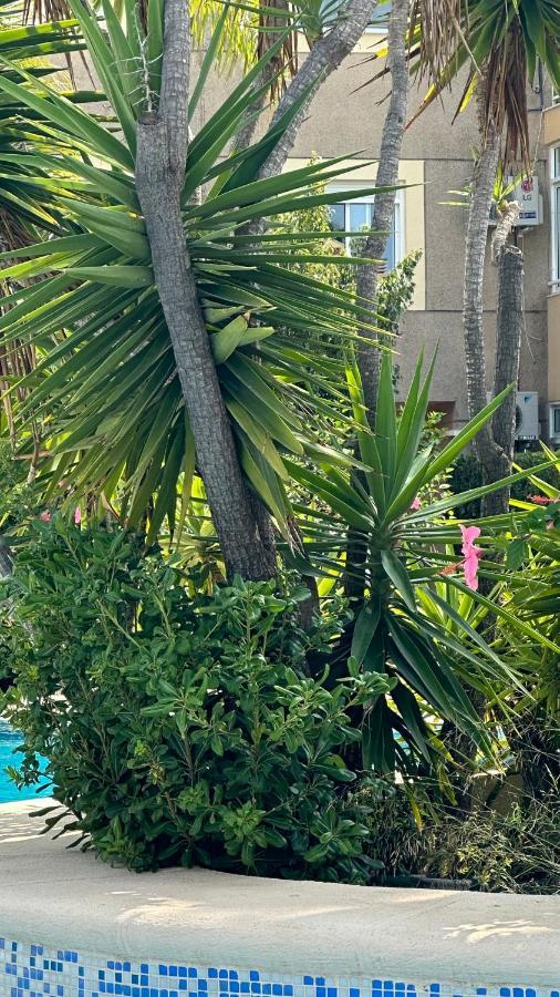 La Rosaleda 17 Apartment Denia Ngoại thất bức ảnh