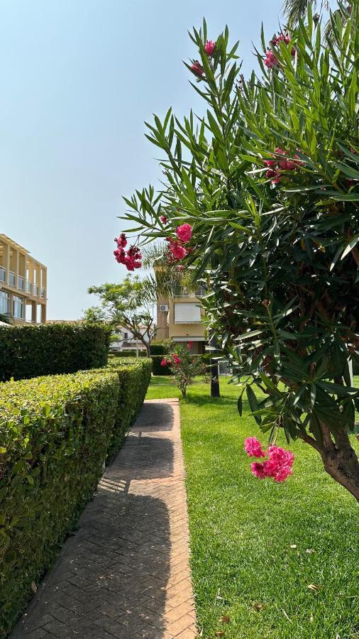 La Rosaleda 17 Apartment Denia Ngoại thất bức ảnh